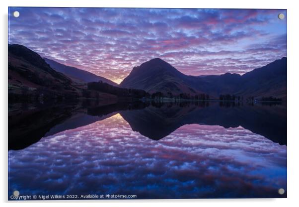 Buttermere, Lake District Acrylic by Nigel Wilkins