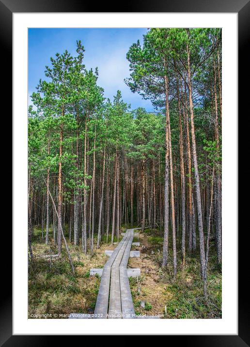 Wooden trail in pine forest Framed Mounted Print by Maria Vonotna