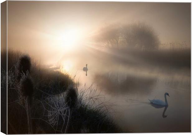 Dynamic Tranquility Canvas Print by David Neighbour