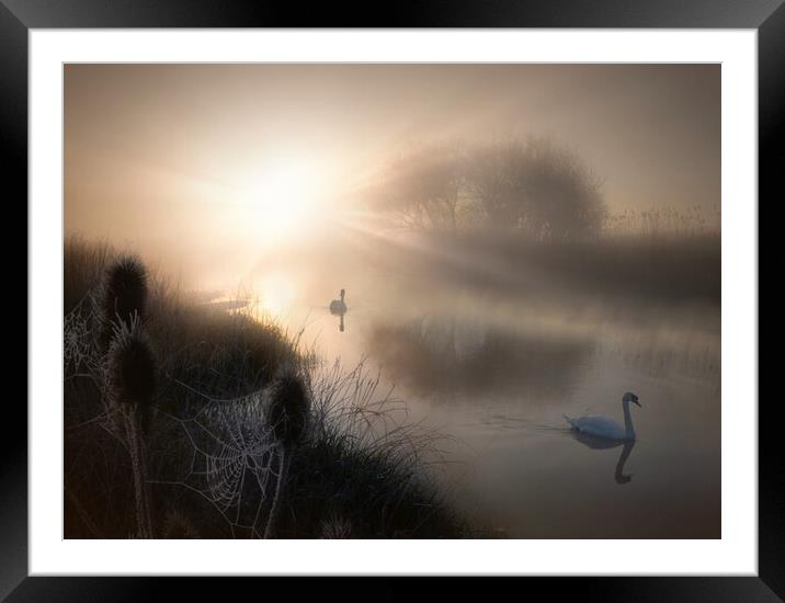 Dynamic Tranquility Framed Mounted Print by David Neighbour