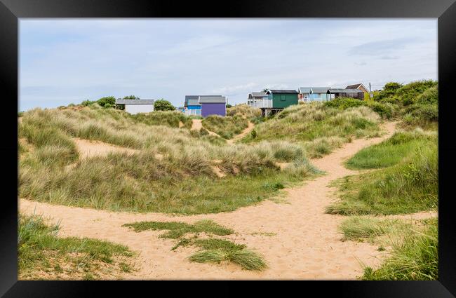 Beach huts nestled in the sand dunes at Hunstanton Framed Print by Jason Wells