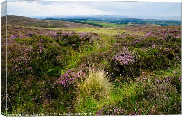 Grouse Moor, Perthshire, Scotland, UK, 2014 Canvas Print by Jonathan Mitchell