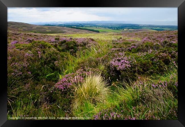 Grouse Moor, Perthshire, Scotland, UK, 2014 Framed Print by Jonathan Mitchell