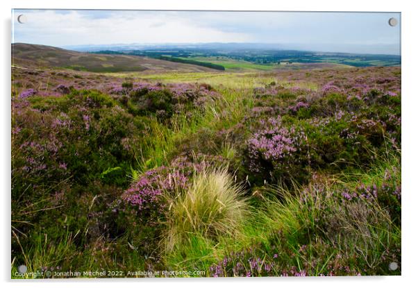 Grouse Moor, Perthshire, Scotland, UK, 2014 Acrylic by Jonathan Mitchell