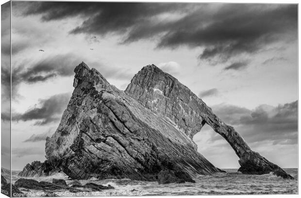 Bowfiddle Rock in Scotland Canvas Print by Brian Sandison