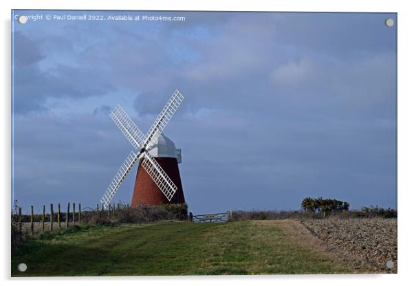 Halnaker windmill Acrylic by Paul Daniell