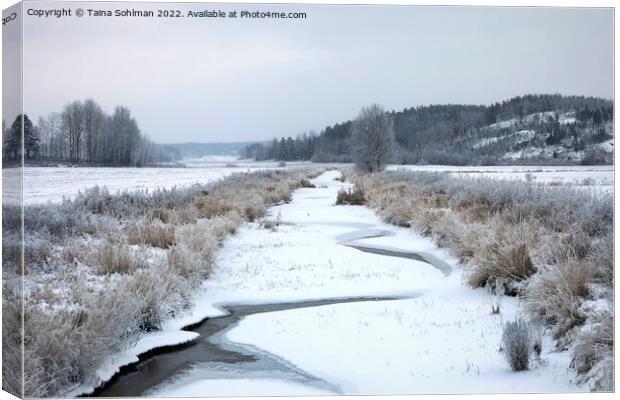 Muurlanjoki River in Christmas Day Snowfall Canvas Print by Taina Sohlman