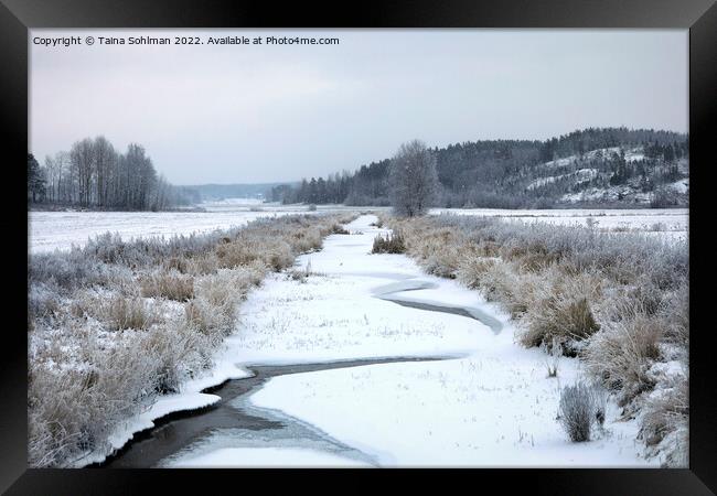 Muurlanjoki River in Christmas Day Snowfall Framed Print by Taina Sohlman