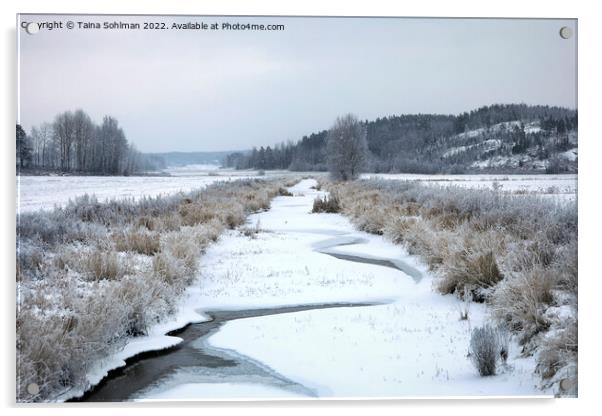 Muurlanjoki River in Christmas Day Snowfall Acrylic by Taina Sohlman