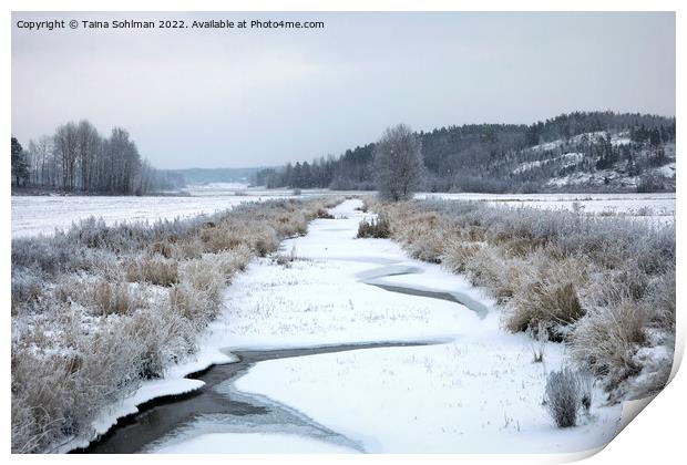 Muurlanjoki River in Christmas Day Snowfall Print by Taina Sohlman