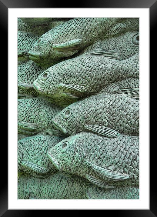 stonefish Framed Mounted Print by Heather Newton