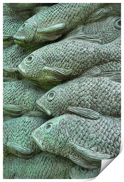 stonefish Print by Heather Newton