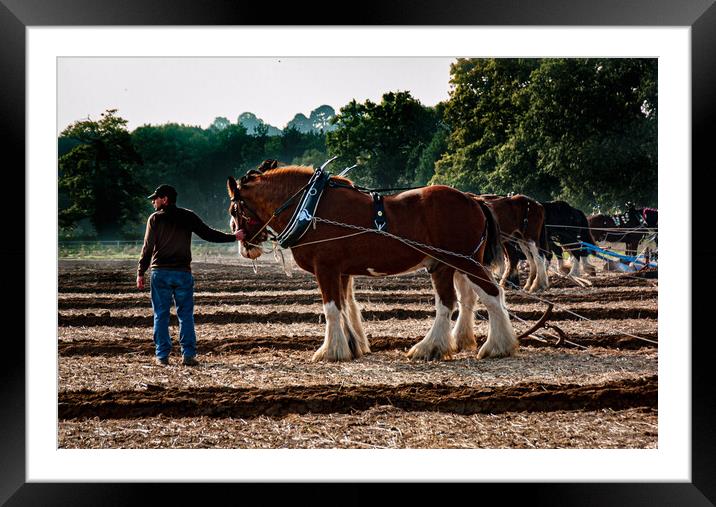 Leading On Framed Mounted Print by Gerry Walden LRPS