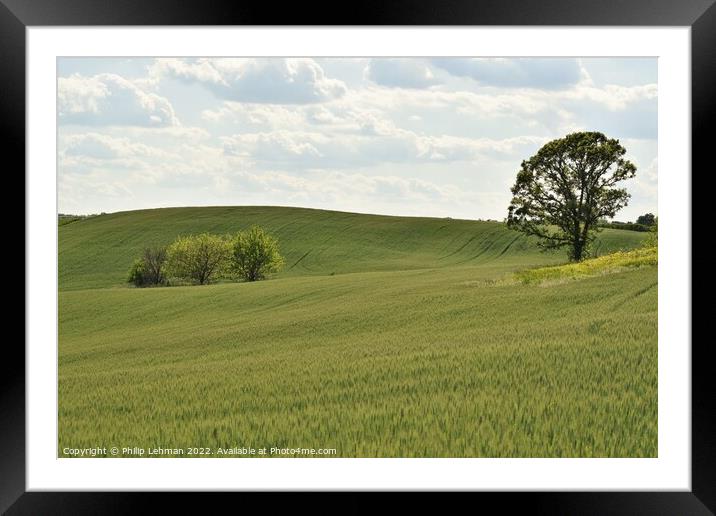 Rolling Hills Framed Mounted Print by Philip Lehman
