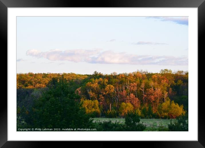 Fall Colors Framed Mounted Print by Philip Lehman