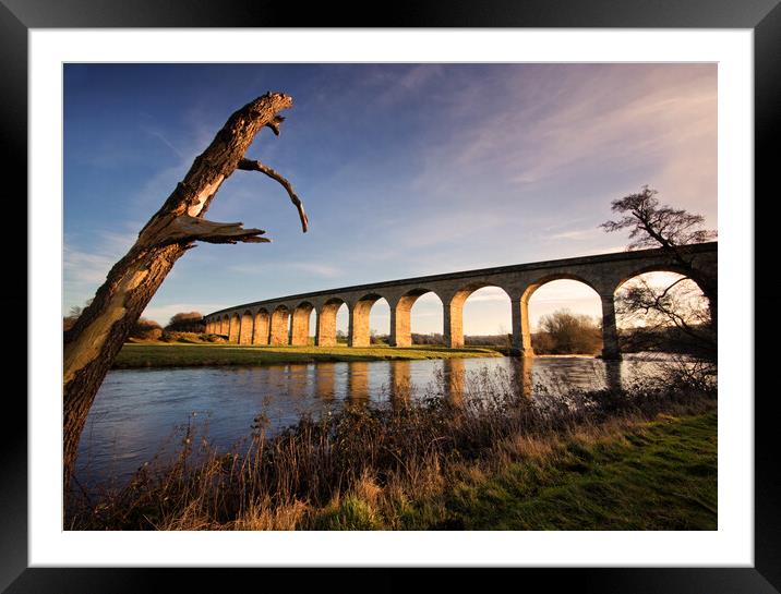 Arthington Viaduct revealed Framed Mounted Print by David McCulloch