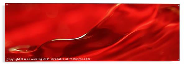 Red velvet Acrylic by Sean Wareing