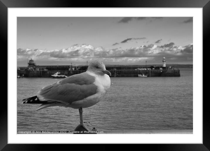 monochrome St Ives Seagull with lighthouse  Framed Mounted Print by Ann Biddlecombe