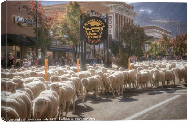 Annual Sheep Parade Canvas Print by Donna Kennedy