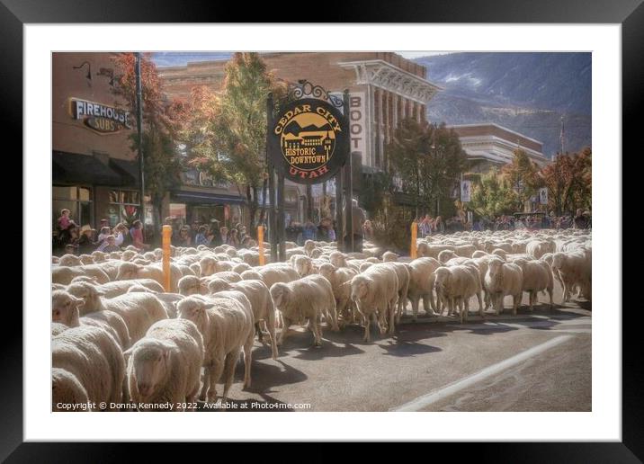 Annual Sheep Parade Framed Mounted Print by Donna Kennedy