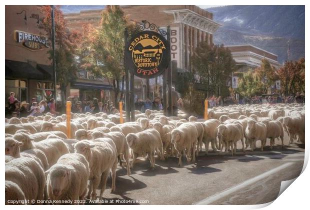 Annual Sheep Parade Print by Donna Kennedy