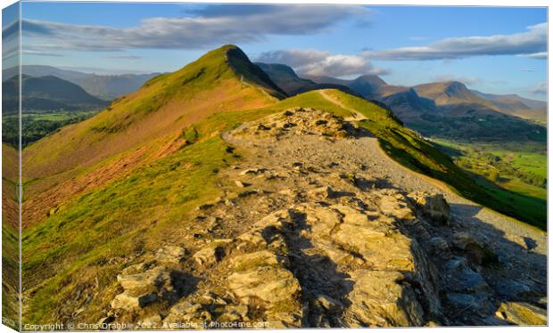 Catbells from Skelgill Bank in spring Canvas Print by Chris Drabble
