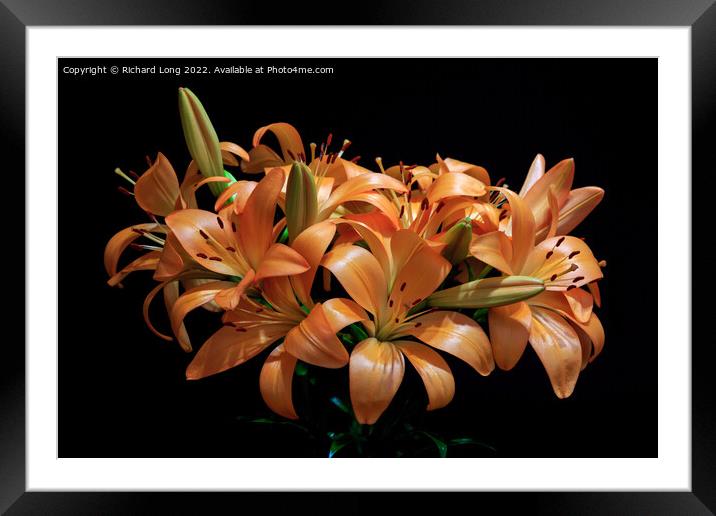 Dark Orange Lilies Framed Mounted Print by Richard Long