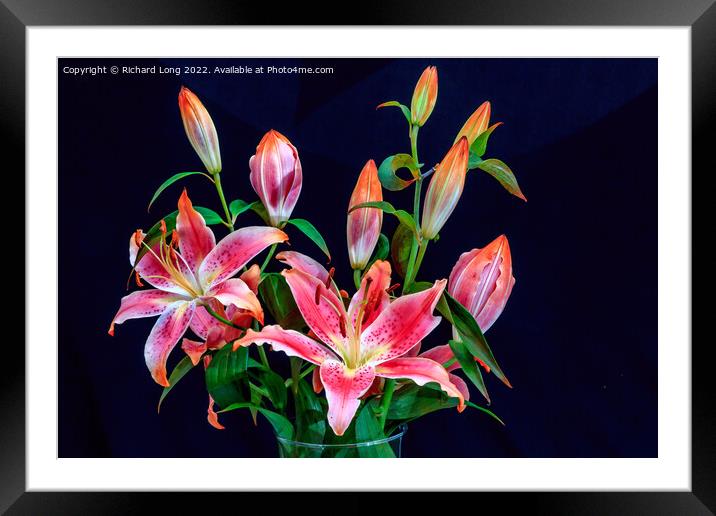Vivid Pink Lilies Framed Mounted Print by Richard Long