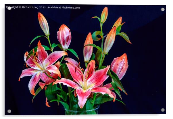 Vivid Pink Lilies Acrylic by Richard Long