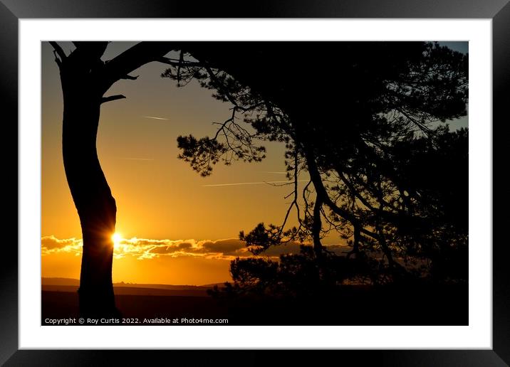 South Hams Sunrise 1 Framed Mounted Print by Roy Curtis