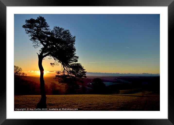 South Hams Sunrise 2 Framed Mounted Print by Roy Curtis