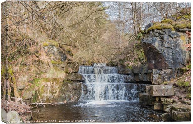 Bow Lee Beck Waterfall, Teesdale Canvas Print by Richard Laidler