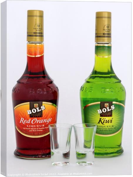 Two bottles of Bols liquor Canvas Print by PhotoStock Israel
