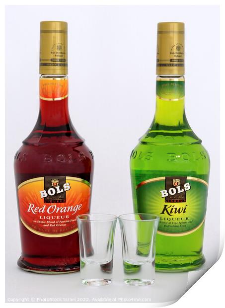 Two bottles of Bols liquor Print by PhotoStock Israel