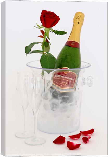 Champagne in an ice bucket Canvas Print by PhotoStock Israel