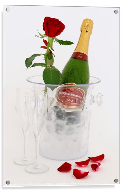 Champagne in an ice bucket Acrylic by PhotoStock Israel