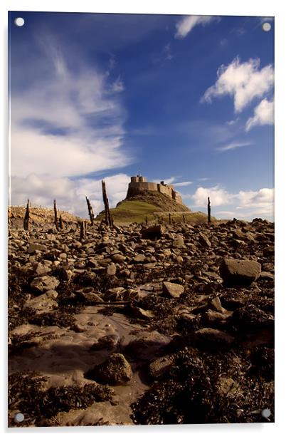 Lindisfarne castle Acrylic by Northeast Images