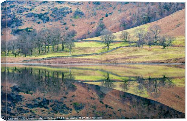 This Way Up Canvas Print by Dominic Shaw-McIver