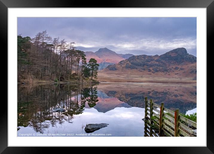 Blea Tarn Reflections Framed Mounted Print by Dominic Shaw-McIver