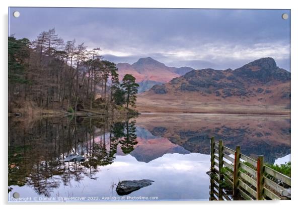 Blea Tarn Reflections Acrylic by Dominic Shaw-McIver