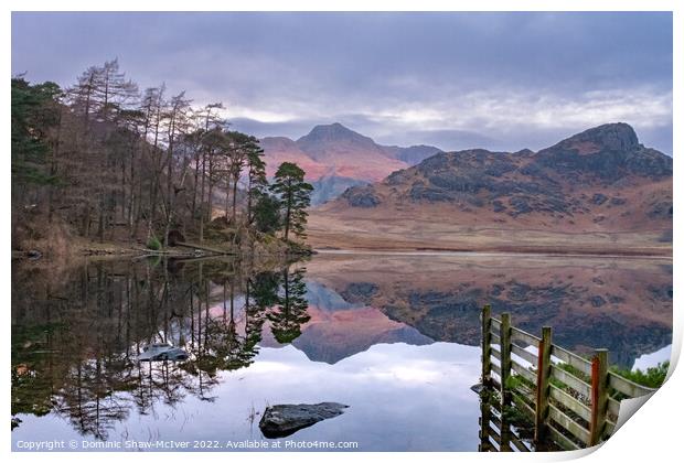 Blea Tarn Reflections Print by Dominic Shaw-McIver