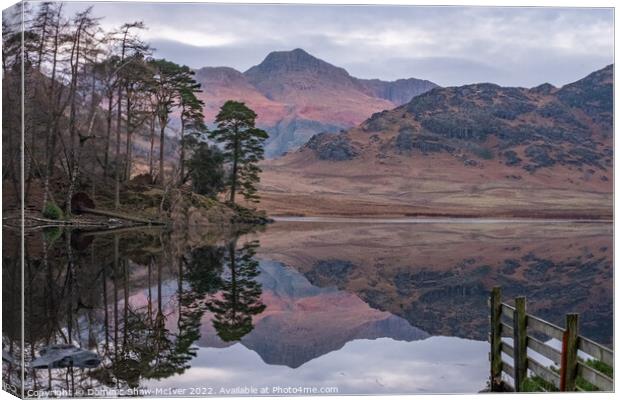 Blea Tarn reflections Canvas Print by Dominic Shaw-McIver