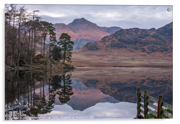 Blea Tarn reflections Acrylic by Dominic Shaw-McIver