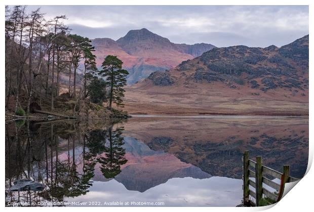 Blea Tarn reflections Print by Dominic Shaw-McIver