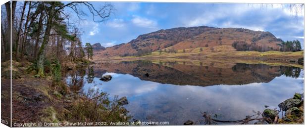 Blea Tarn Panorama Canvas Print by Dominic Shaw-McIver