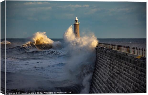 Tynemouth pier storm corrie Canvas Print by david siggens
