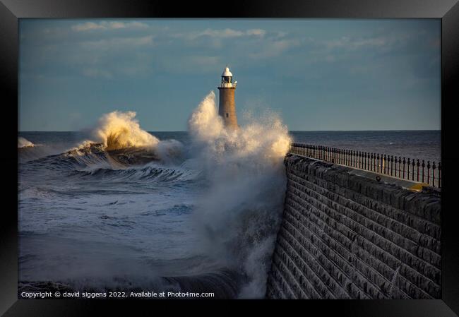 Tynemouth pier storm corrie Framed Print by david siggens