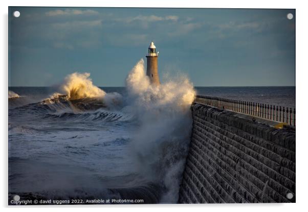 Tynemouth pier storm corrie Acrylic by david siggens