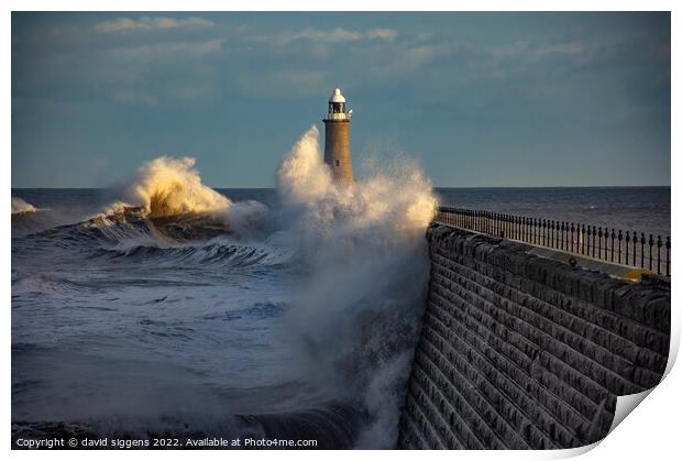 Tynemouth pier storm corrie Print by david siggens