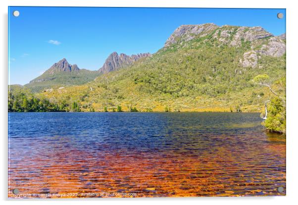 Lake Lilla - Cradle Mountain Acrylic by Laszlo Konya